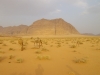 Le truppe cammellate del deserto