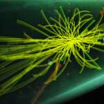 Al CERN dati e particelle alla velocità della luce