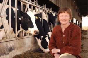 This is Gillian Butler with cows at Newcastle University's Nafferton Farm, Northumberland.