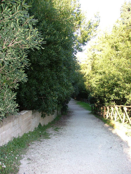 Leopardi