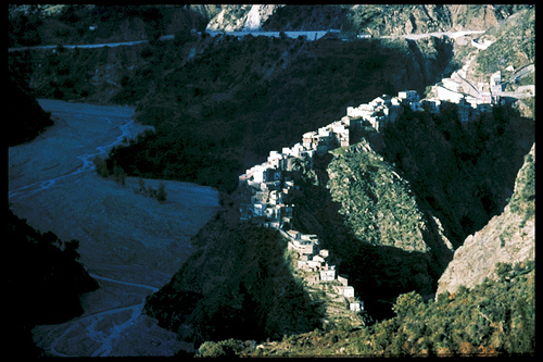 Aspromonte in fiore