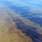 Sversamento di petrolio a Gela: video