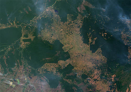 Deforestazione in Amazzonia. Crediti: NASA, foto di Jesse Allen and Robert Simmon