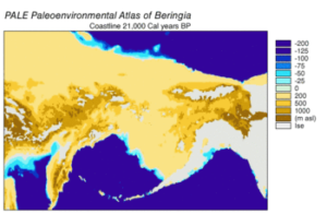 Ponte di terra della Beringia più recente di quanto ritenuto