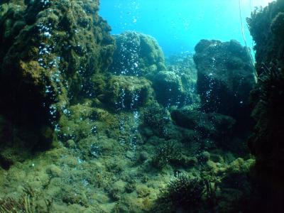 Effetto della CO2 sulle barriere coralline osservato per la prima volta. Crediti foto: Katharina Fabricius/Australian Institute of Marine Science