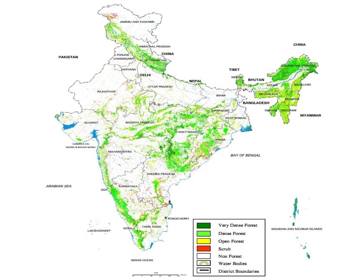 La copertura forestale attuale dell'India