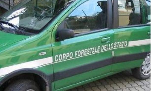 corpo-forestale