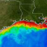 Zone morte nel Golfo del Messico: ancora brutte notizie