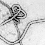Focolaio di Ebola in Congo, sono già 18 i morti e 41 gli infetti