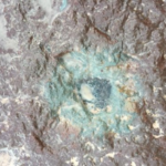 Nuovo tipo di meteorite collegato alla collisione di asteroidi dell’Ordoviciano