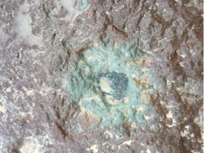 meteorite-svedese