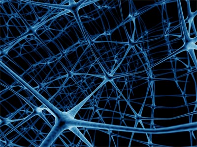 Neuroni in una rappresentazione artistica