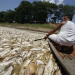 Siccità: secondo la NASA l’Amazzonia è seriamente minacciata