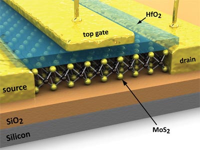 Questo modello di transistor mostra come la molibdenite può essere integrata in un transistor. Crediti: EPFL