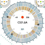 Riscritto il genoma dell’Escherichia coli