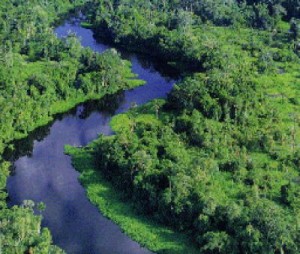 Antiche città dell’Amazzonia rispettavano la conservazione dell’ambiente