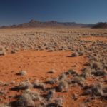 Proposta nuova teoria per i ‘Cerchi delle Fate’ in Namibia