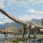 Scoperta in Cina nuova specie di dinosauro ‘dal lungo collo’