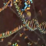 Scoperto un secondo linguaggio nascosto all’interno del DNA