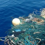 Nel  mare anche toscano la plastica abbonda  la gestione invece manca