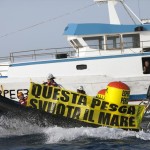 Greenpeace in azione in Sicilia contro pesca eccessiva acciughe