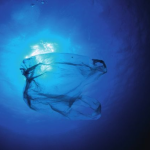 Impatto globale dei rifiuti plastici sulla vita nei mari